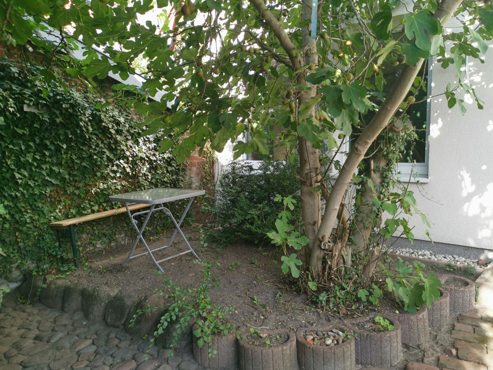Haus Am Hafen Villa Neustadt in Holstein Eksteriør bilde